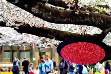 心理学家 黄片 帮助公众辨别媒体信息