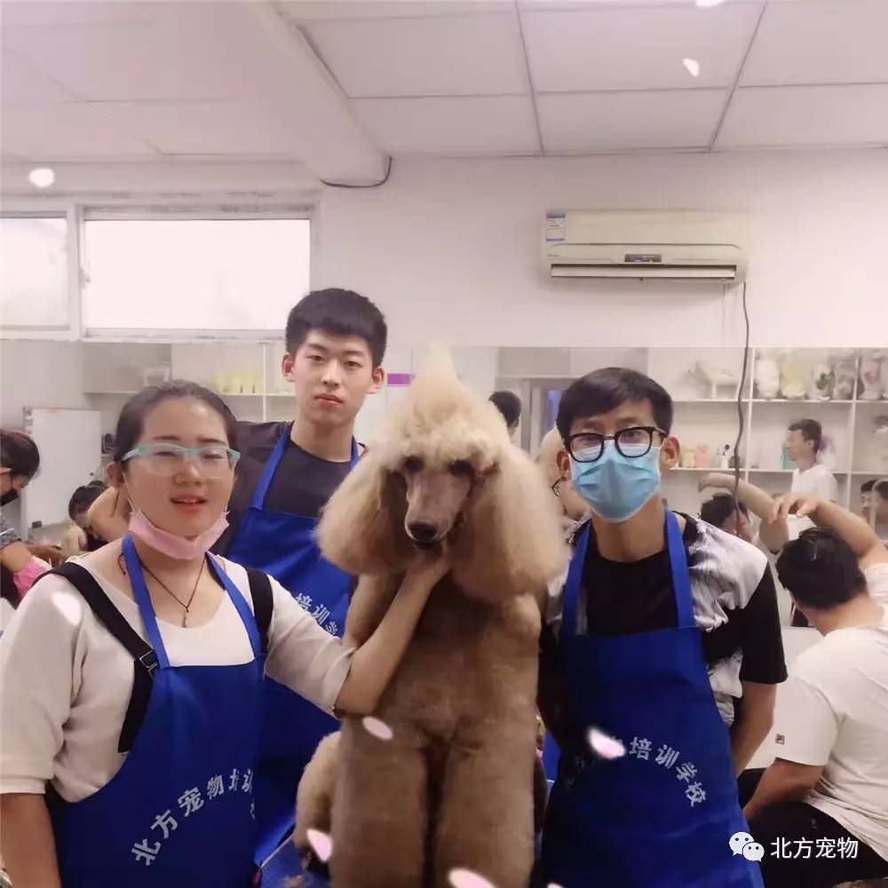 欧洲vodafonewifi高清