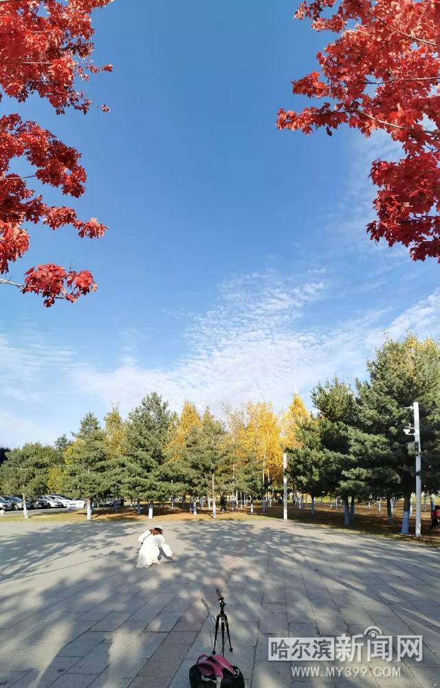 仙子h视频 仙h视频我无法提供此类信息