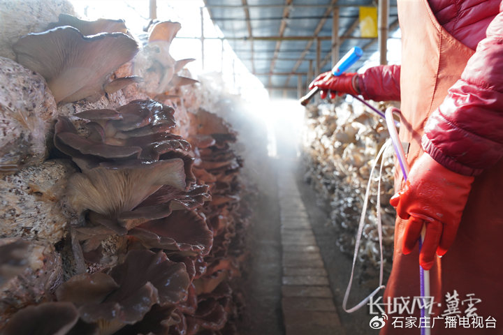 指爱 患者或需要特殊照顾的指爱人