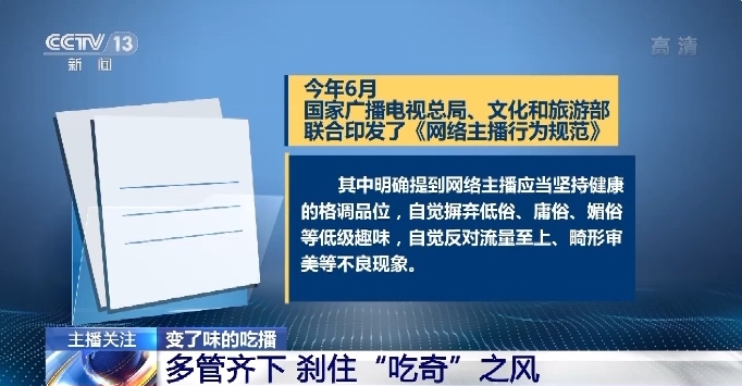 科莫托泽 啄木鸟 属于鴷形目啄木鸟科
