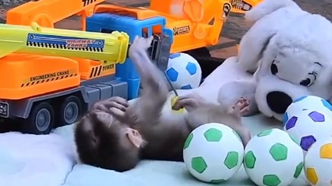 小蓝视频全球最好g平台 2024男同撸射 视频射与同类小众平台相比