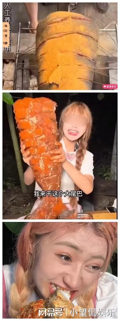 国产伦精品一区二区三区视频优播 国产视频的国产崛起