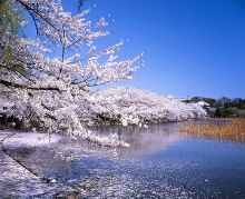 暖暖视频 高清 日本