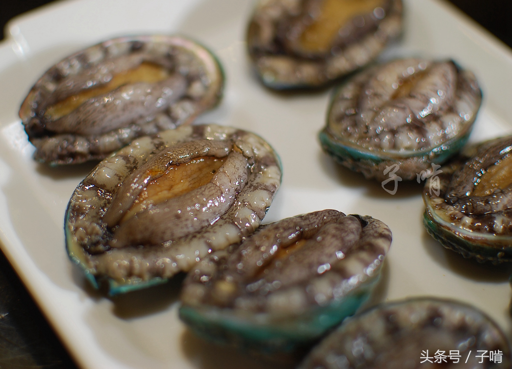 国产精品无码不卡免费视频 视频有些内容可能踩线