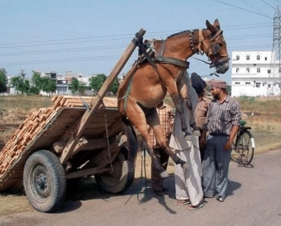在线播放幼幼视频