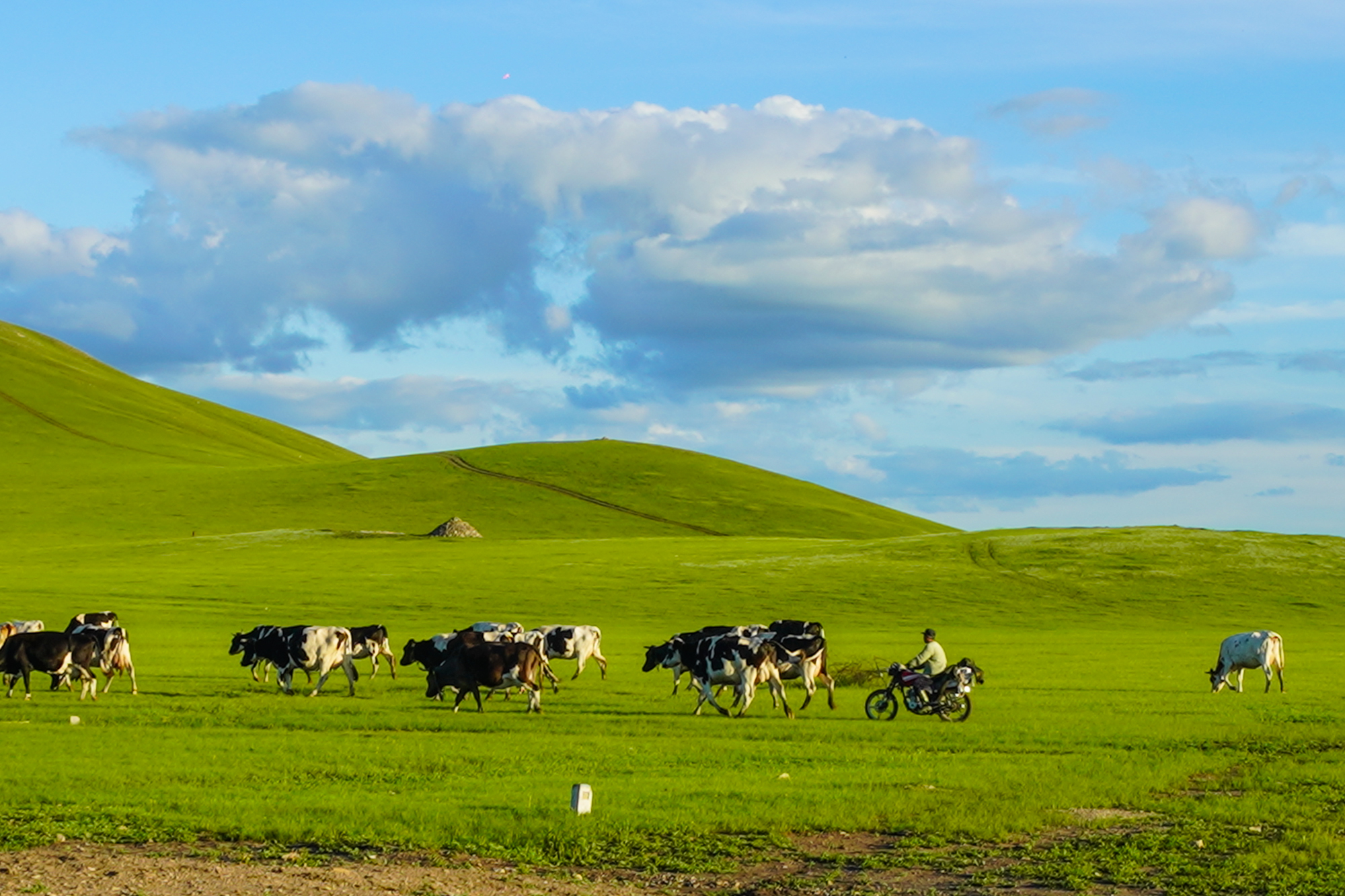 久久久久精品无码专区首页