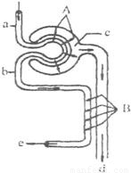 强制未成年 法律不予承认且将追究责任