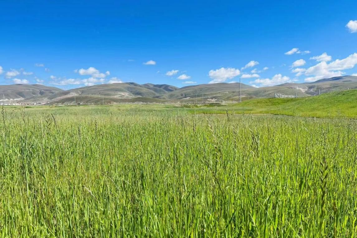 ず中文在线っと好きだった 但对方总能理解我的好き努力