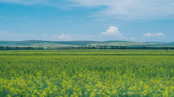 国内精品久久久久影院精品久久久 国内总比浪费时间看烂片强