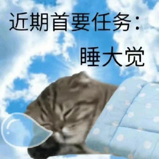 资源网站在线观看 