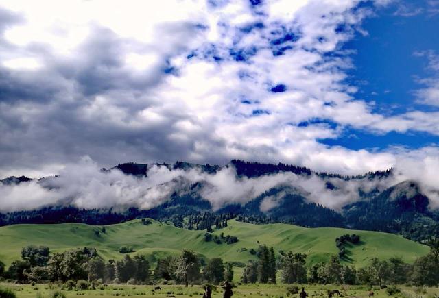 森萝在线观看 森萝严重侵害未成年人权益