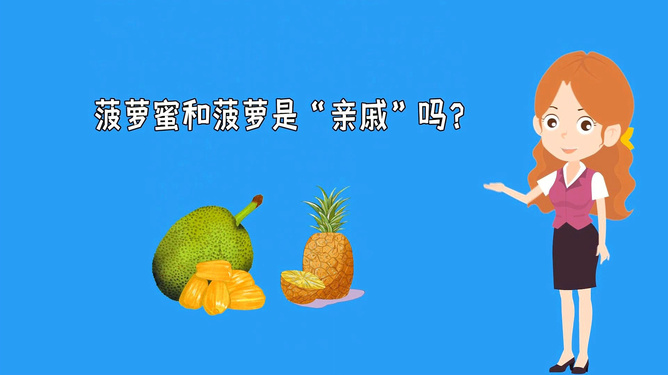 国产精品视频网站