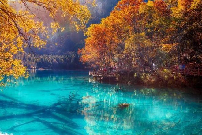 一条小团团壁纸 条小团团视觉效果更佳