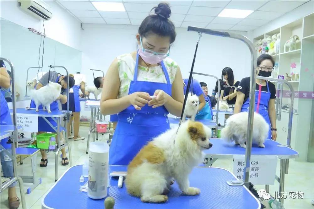 2048聚合影院vip 银行或信用卡的用户