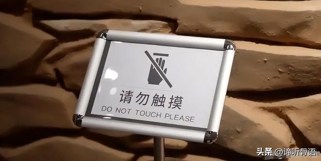 国产婷婷精品任我爽欧美