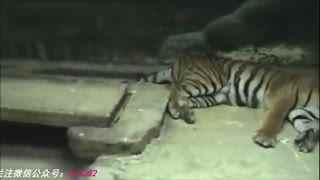 精品卡一卡二卡乱码999 卡卡卡乱为了更具体地说明