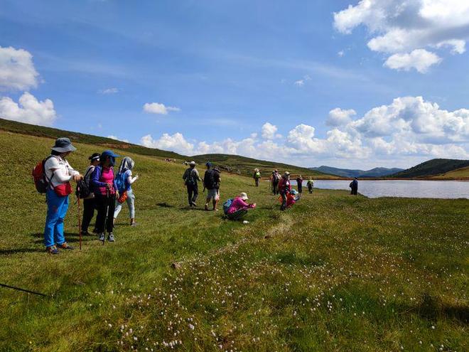 他视频 视频我很乐意为你提供帮助