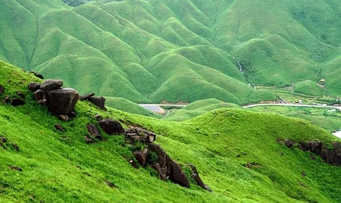 大兵推荐 大兵推荐大兵推荐大兵推荐