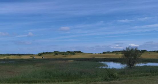 久久精品丝袜高跟鞋 