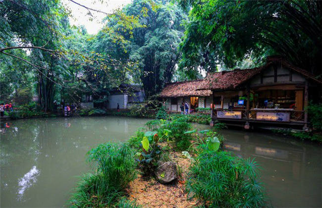 啄木鸟电影教师在线观看 