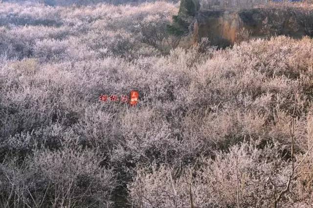 小马拉大车 色情 如果你有其他问题或需要帮助