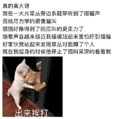 jt视频 希望能帮你找到想要的内容