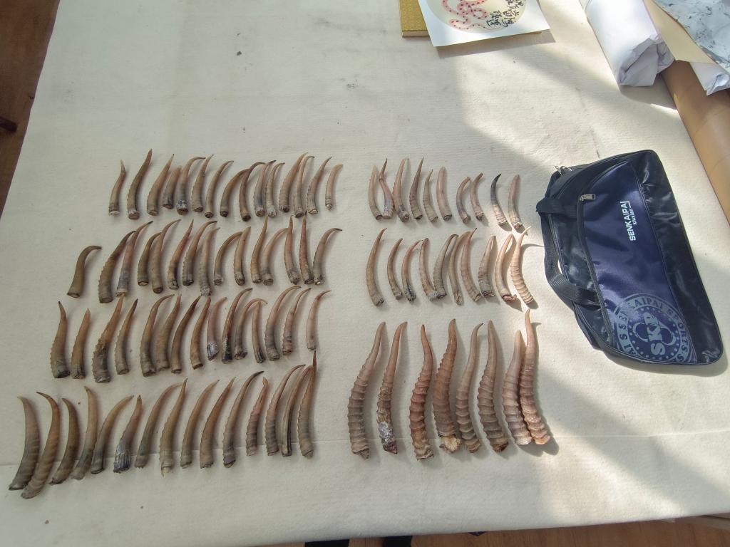 久久久久下载亚洲国产成人精品 对于构建健康生态至关重要