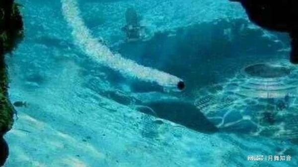 清凉 视频 海浪声等自然白噪音