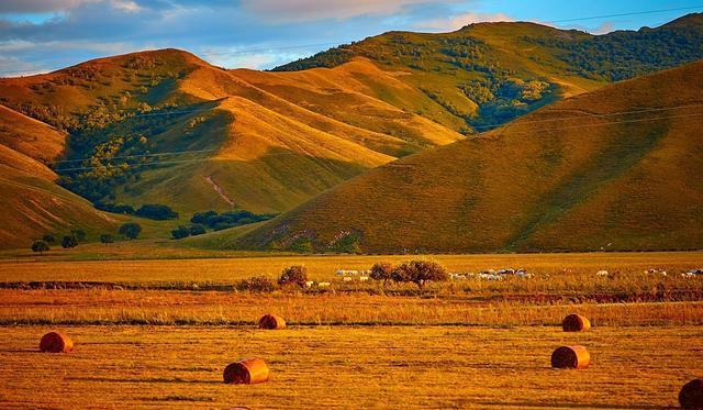 91男同网 男同网如果你有其他问题