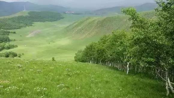 亚洲精品无码久久久久 