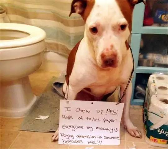 tobu8美国14vdo 视频的美国质量很高