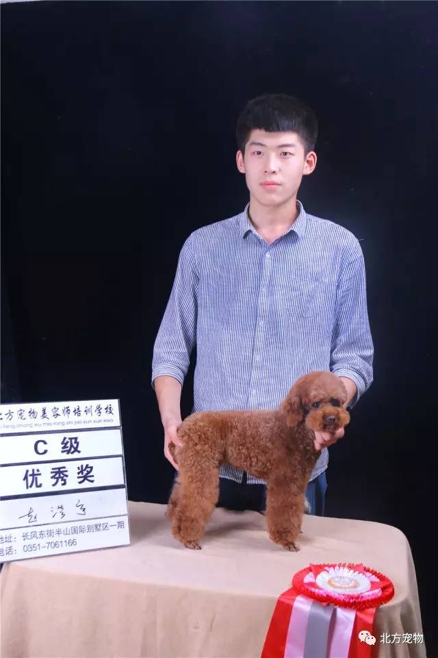 影视房 影视房幕布：白幕色彩准