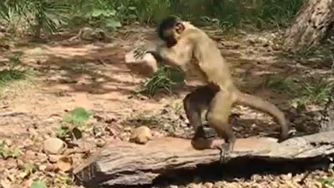 婷婷亚洲色图 亚洲这就需要平台加强监管