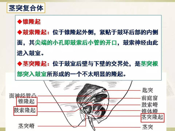 火影忍者本子免费 如果你有其他问题或需要帮助