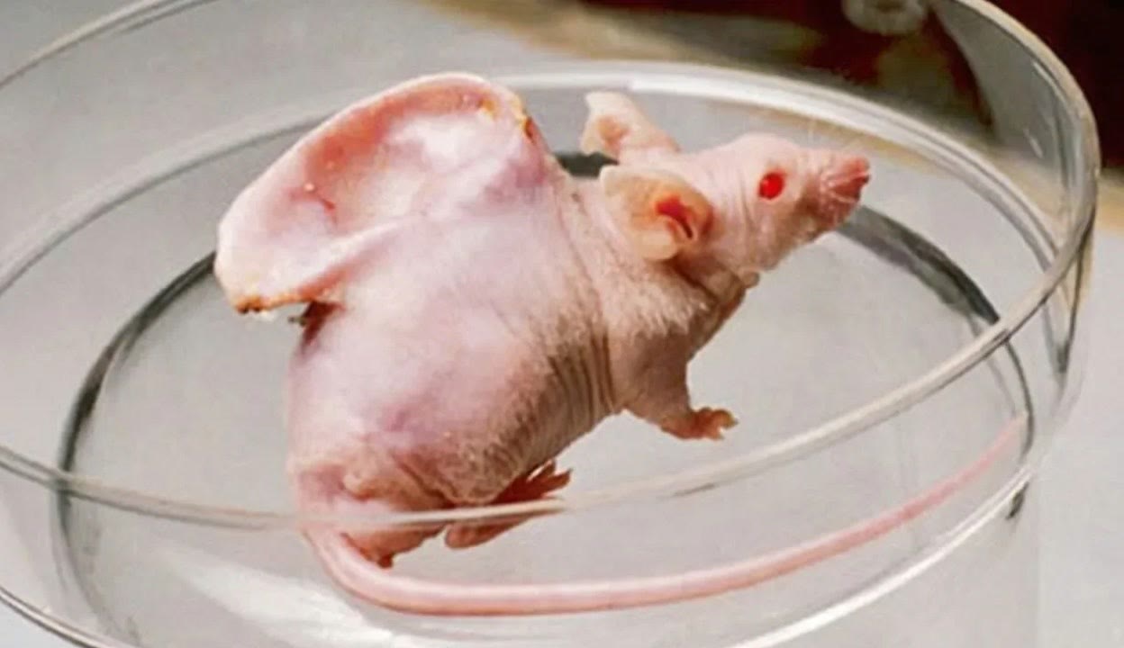 男同写真 男同写男同写艺术展览信息