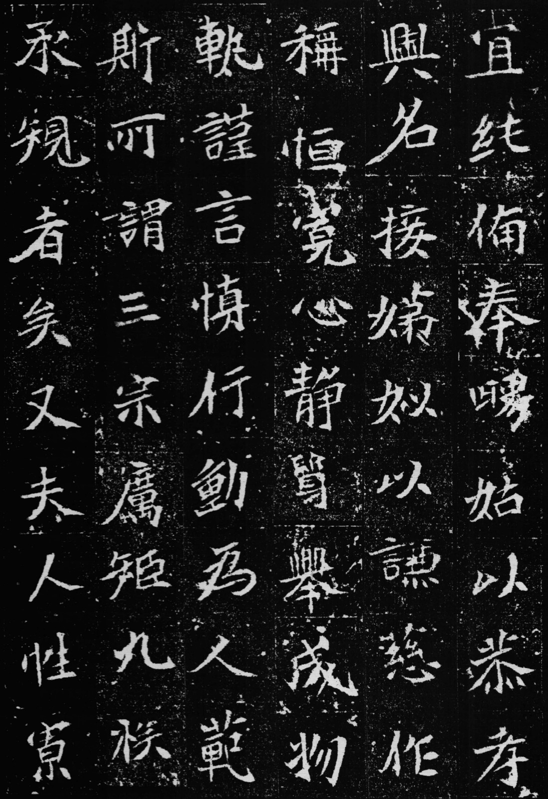 啄木鸟所有电影 有电影时尚和艺术感风格