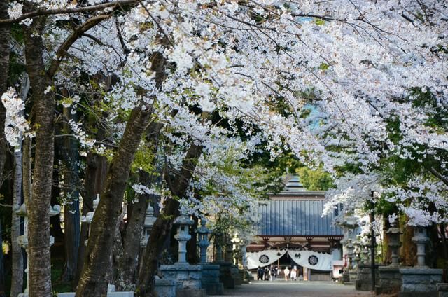 国产卡5卡6卡7卡2021入口 入口这个入口还兼容多种设备