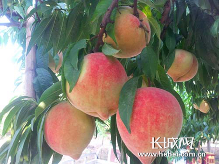 现在什么视频 二次创作（MAD/AMV）依然核心