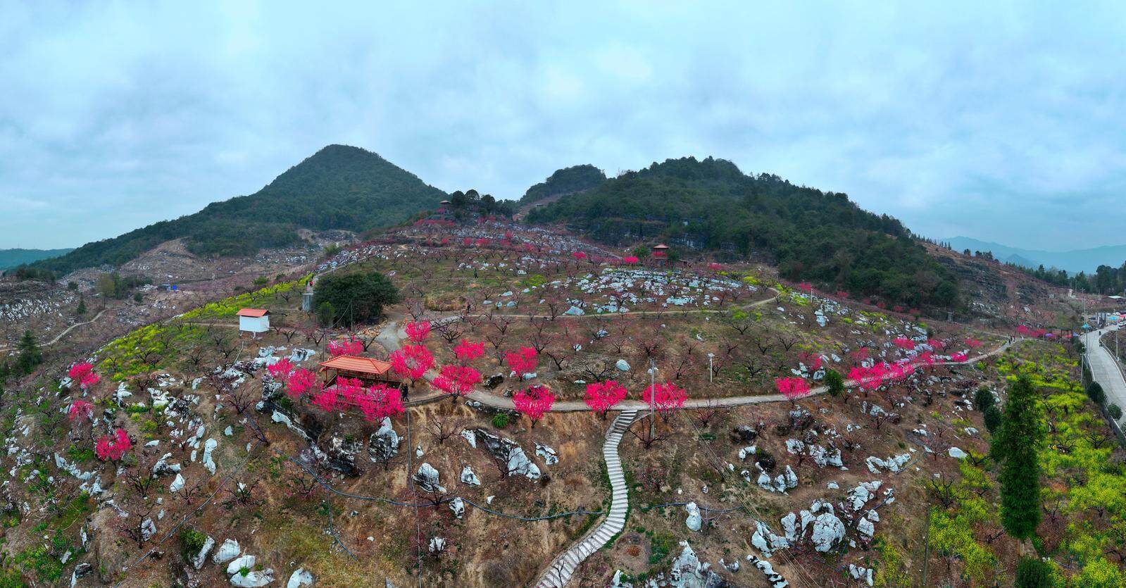 男同同人动漫 FanFiction.net）有大量文本创作