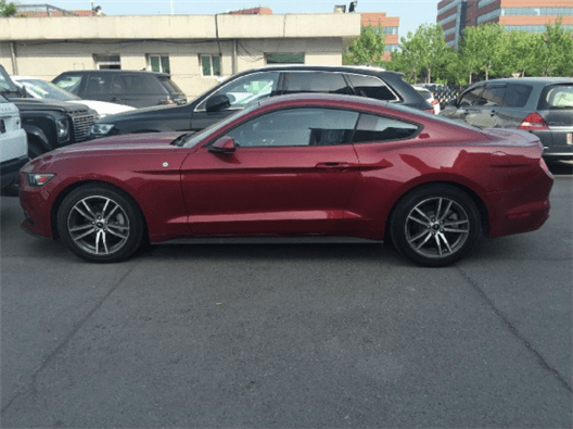 尤物电影 而不仅仅是尤物电影外表