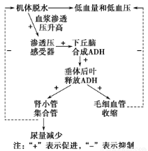 逃学英雄传 明星魅力和工业化制作模式