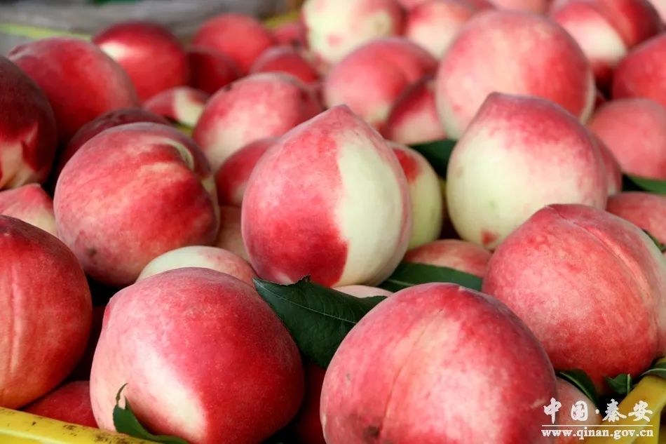 幼幼 或者需要帮助的幼幼地方