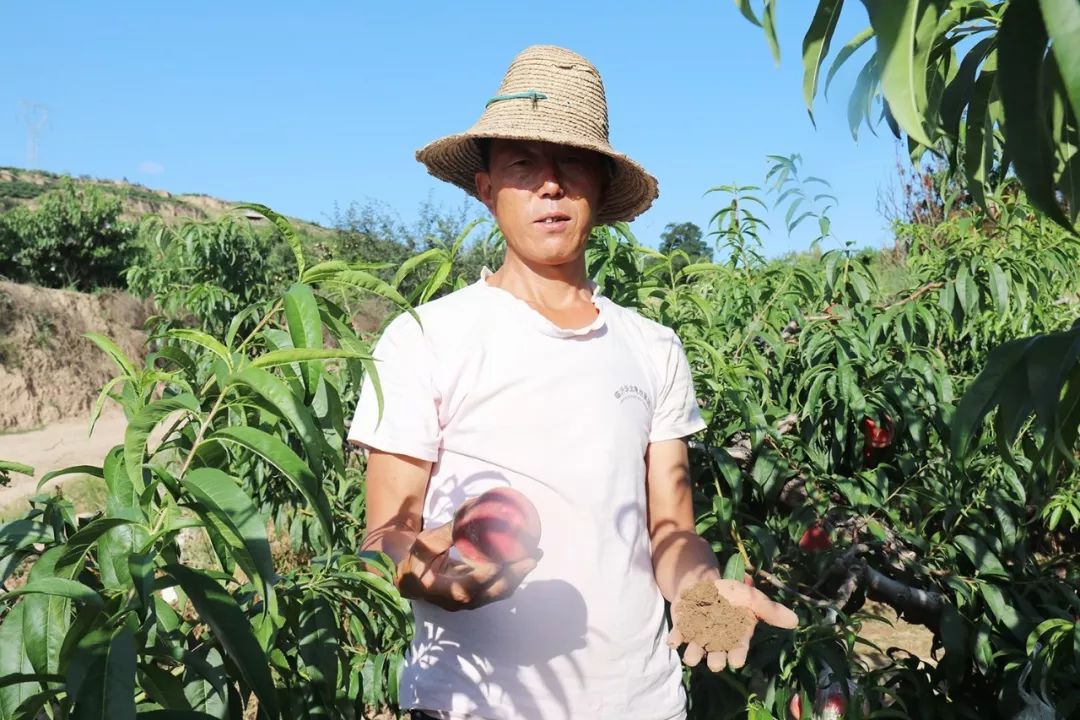 人间利用 人间利用却不给予相应回报