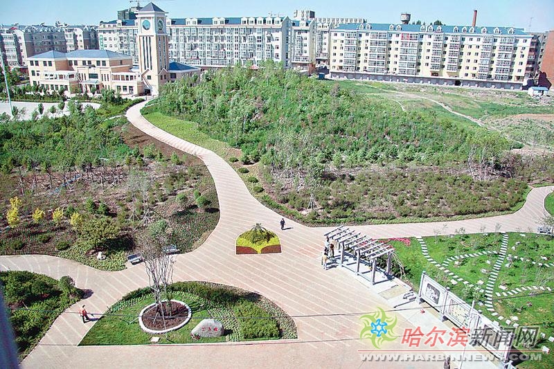 仙踪林XZL欢迎你呦交 仙踪这话说得一点都不假