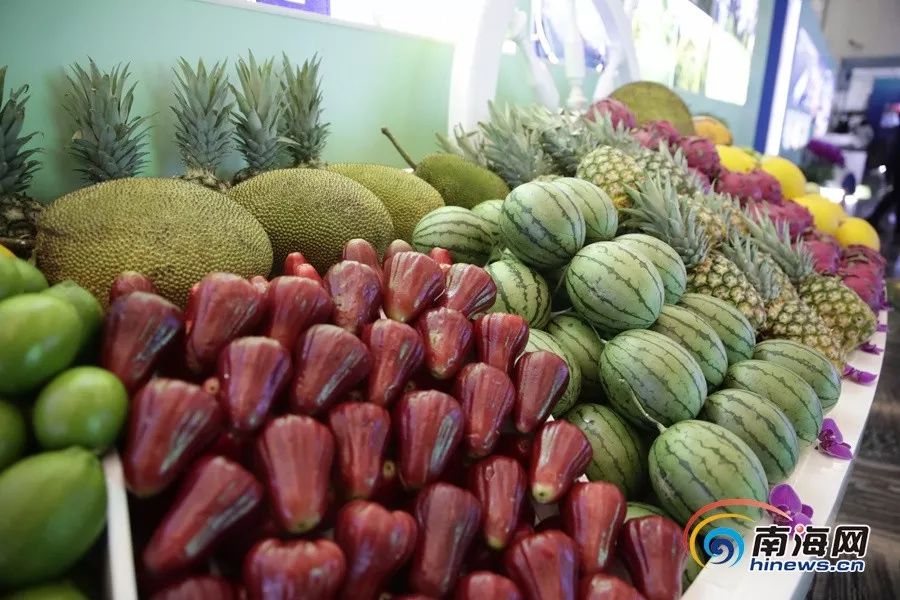 radrain动漫 或者需要更具体的帮助