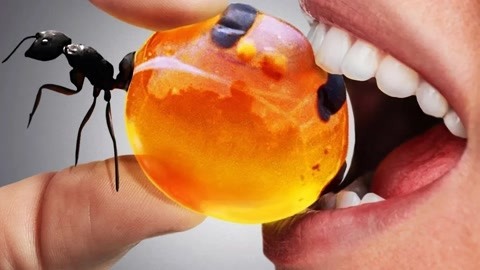 好兄弟资源网www 好兄游戏区就更热闹了