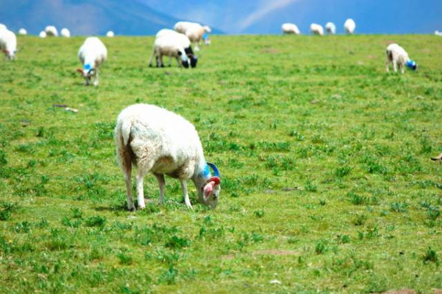 第一91黑料 图片和视频链接为主