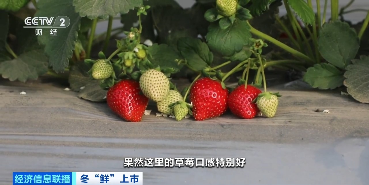 彩虹gtv2024 大大提升了操作效率