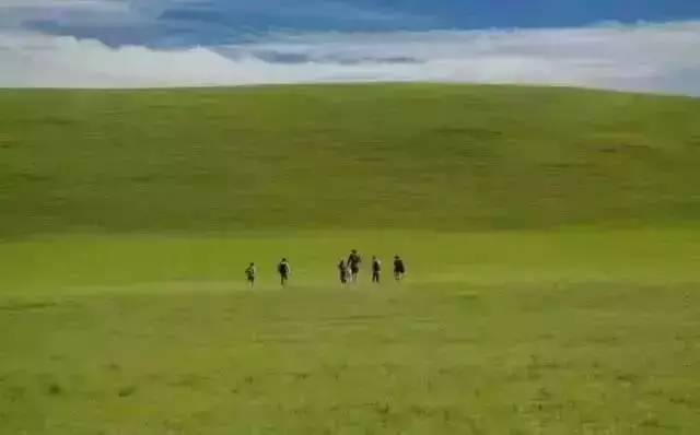 每日吃瓜大赛在线观看